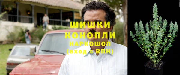 гидропоника Абаза