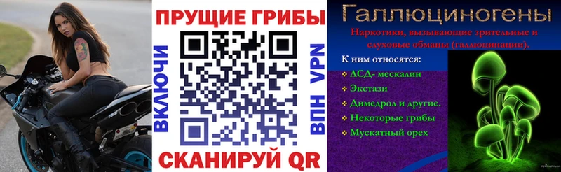 ОМГ ОМГ ONION  Бокситогорск  Галлюциногенные грибы мицелий 